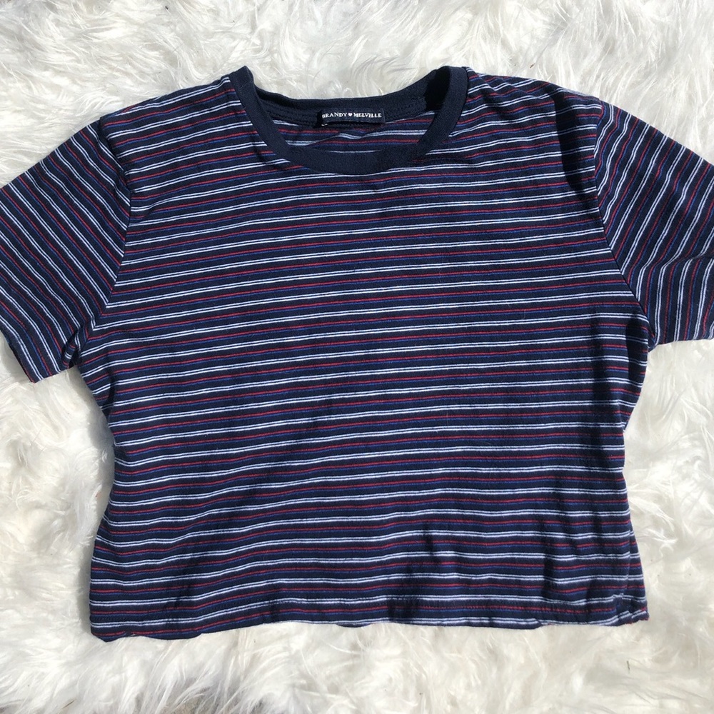 Brandy Melville "helen" crop top!!